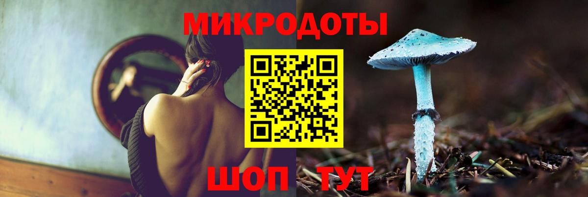 Ишимбай  Псилоцибиновые грибы Psilocybine cubensis  Вход с VPN 